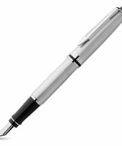 Waterman - Expert Stainless Steel Fountain Pen
